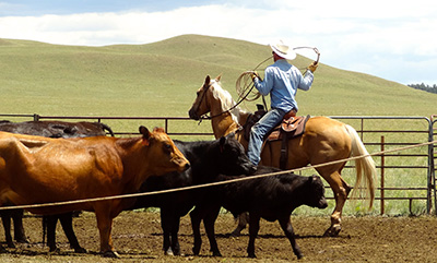 Private Ranch Colorado
